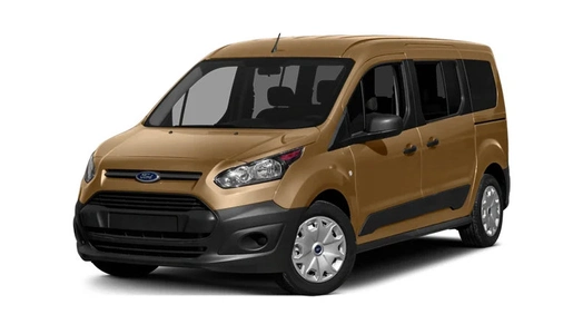 Ford Tourneo Connect [CHC] (2013-) задні двері
