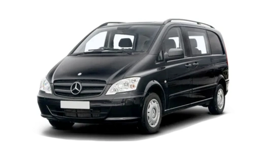 Mercedes Vito [W639] (2010-2014) задняя крышка