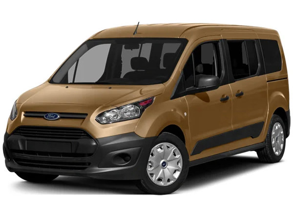 Ford Tourneo Connect [CHC] (2013-) задні двері